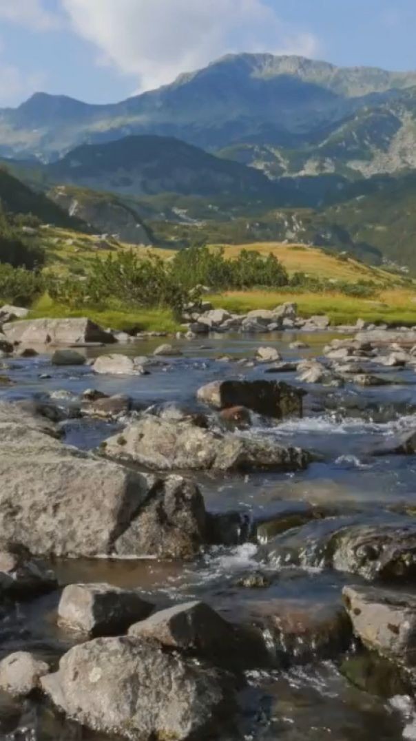 yappy мама день рождение