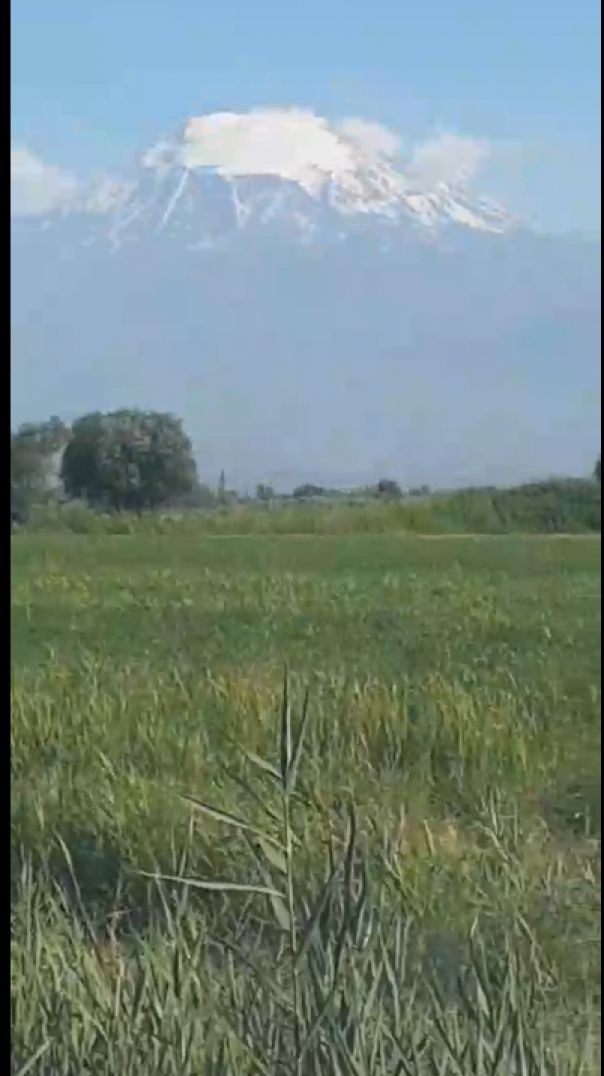 Камо в дороге