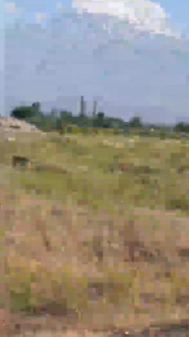 камо в дороге 2